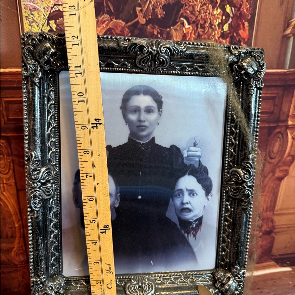 Faux Vintage Ornate Silver Photo Frame Lenticular Changing Spooky Halloween Gag - Picture 8 of 10